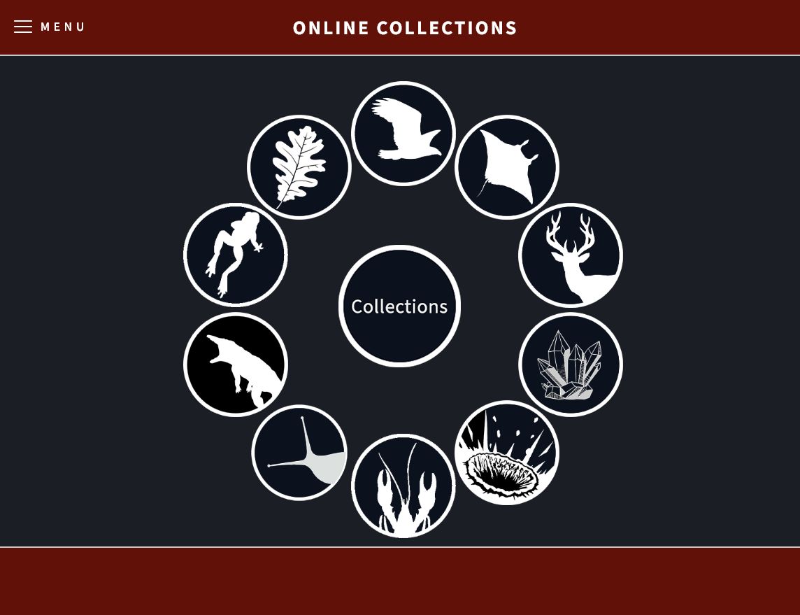 Online Collections Homepage