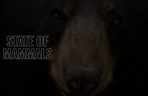 State of Mammals Screenshot